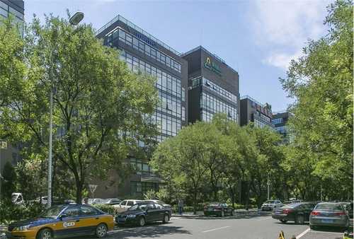 海南纯手工手工宠物零食卖价